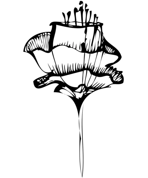 Siyah-beyaz çiçek kroki — Stok Vektör