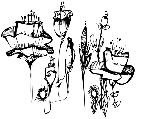 Bosquejo en flor blanca y negra — Archivo Imágenes Vectoriales