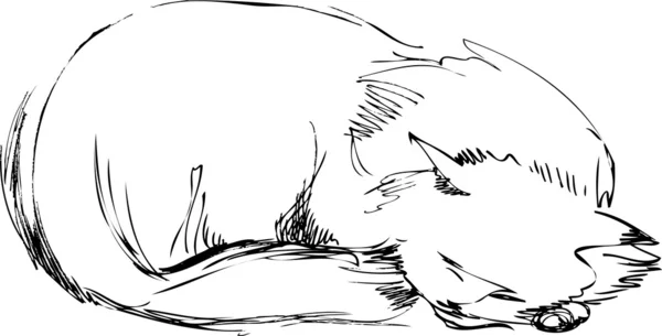Кошка дремлет на полу — стоковый вектор