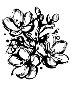 Blackly white sketch of spring colors three buds clipart