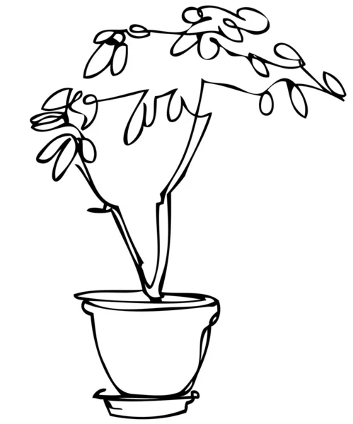 Bir tencerede oda bitki çiçek kroki — Stok Vektör
