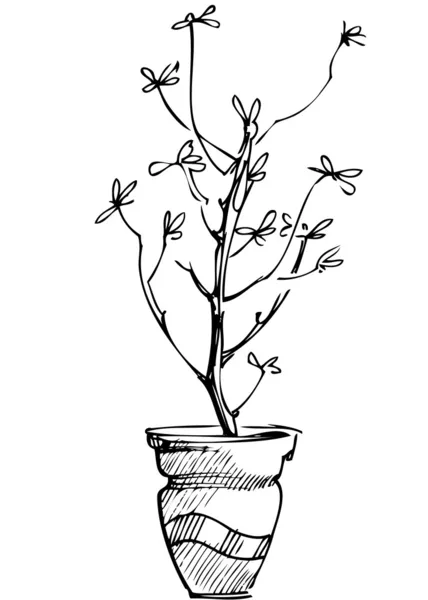 Bosquejo flor de la planta de habitación en una olla — Vector de stock