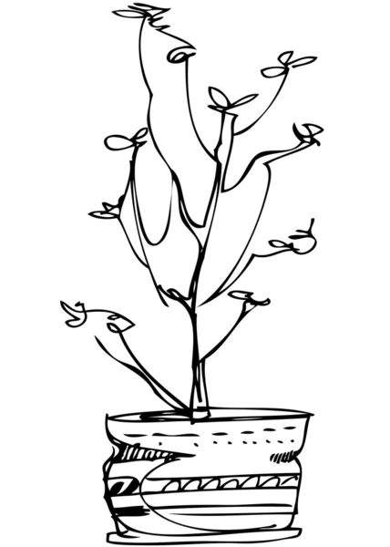 Bosquejo flor de la planta de habitación en una olla — Archivo Imágenes Vectoriales