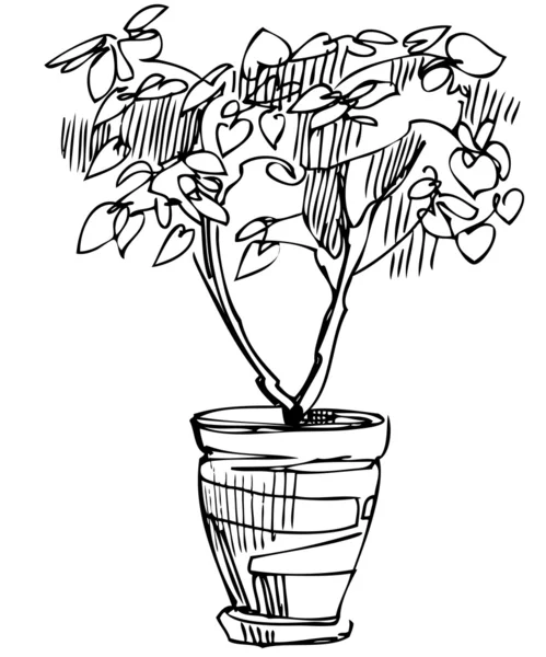 Plante de salon de croquis fleur dans un pot — Image vectorielle