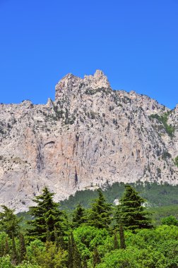 Dağ manzarası