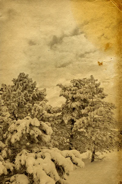 Kış retro fotoğraf — Stok fotoğraf