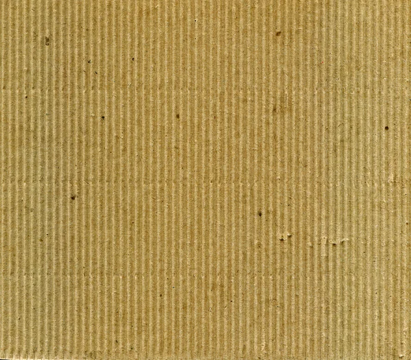 Σέλινα με χαρτόνι — Φωτογραφία Αρχείου