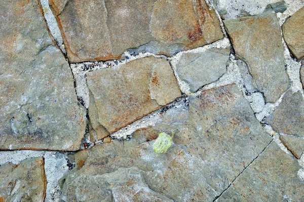 Stone tiles — Stock Photo, Image
