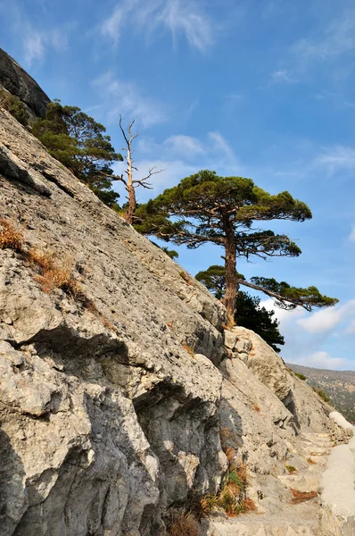 stock image Rocky slope