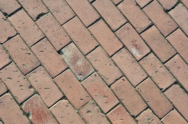 Camino de azulejos de cemento — Foto de Stock