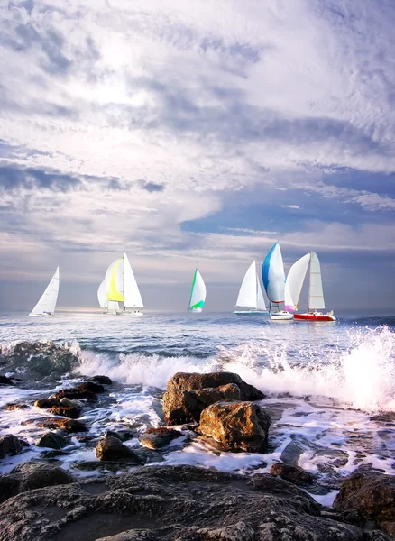 Sailing regatta — Stock Photo, Image