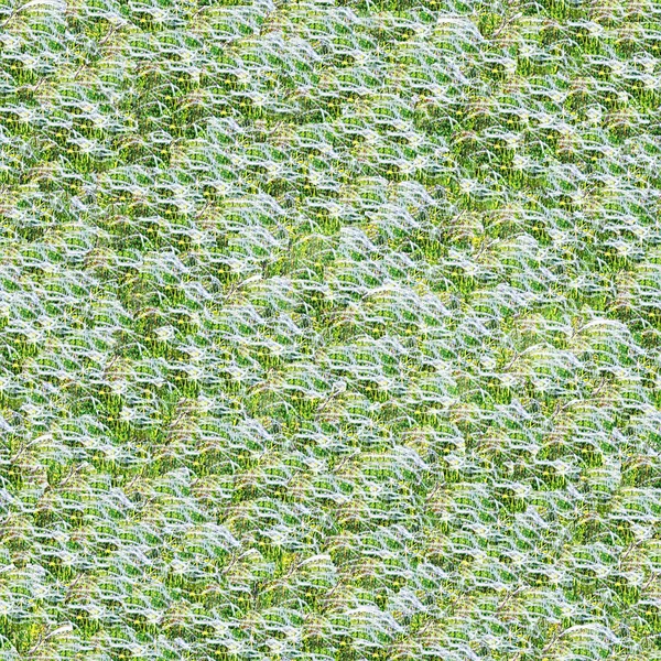 Wildblumen nahtlos — Stockfoto
