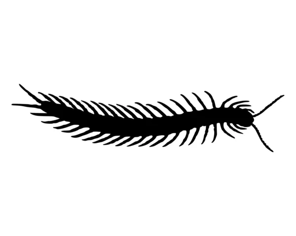 Centipede — Stock Vector