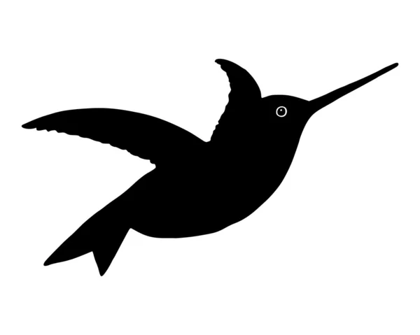 Колибри — стоковый вектор
