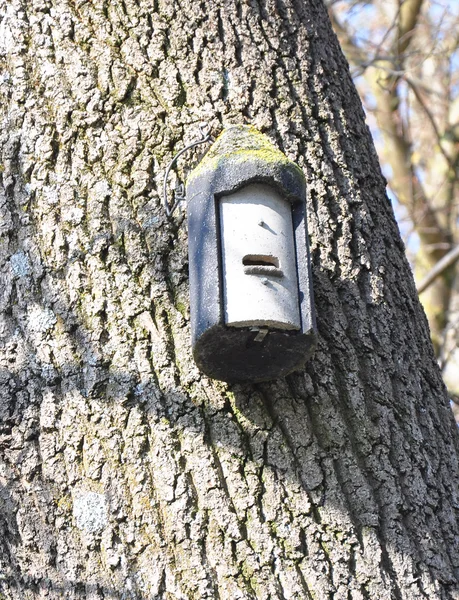 stock image Bat box