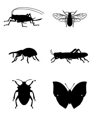 Various insects clipart