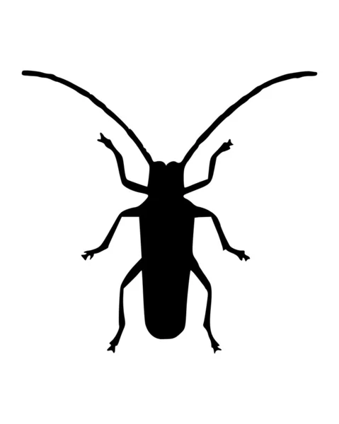 Długi róg chrząszcz — Wektor stockowy