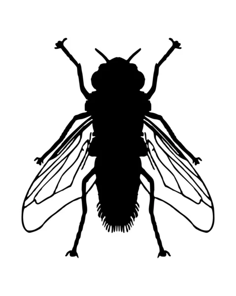 Silhouette della mosca — Vettoriale Stock