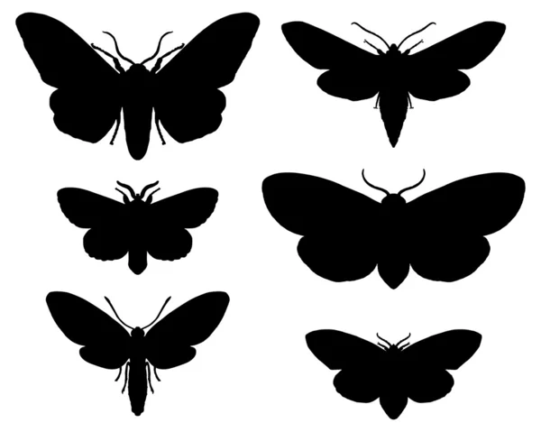 Moths silhouettes — Stock Vector