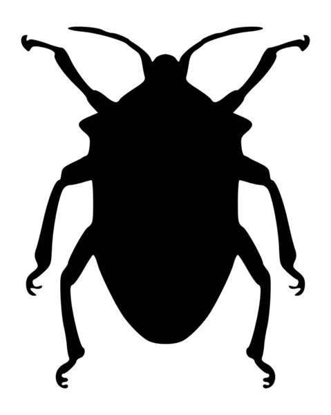 Verdadeira silhueta bug — Vetor de Stock