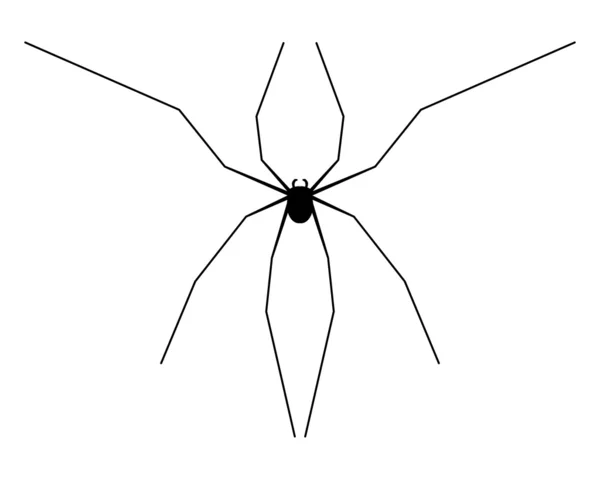 Είδος αράχνης σιλουέτα — Διανυσματικό Αρχείο