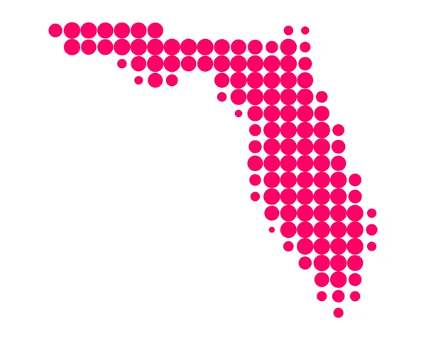 El mapa de Florida — Archivo Imágenes Vectoriales