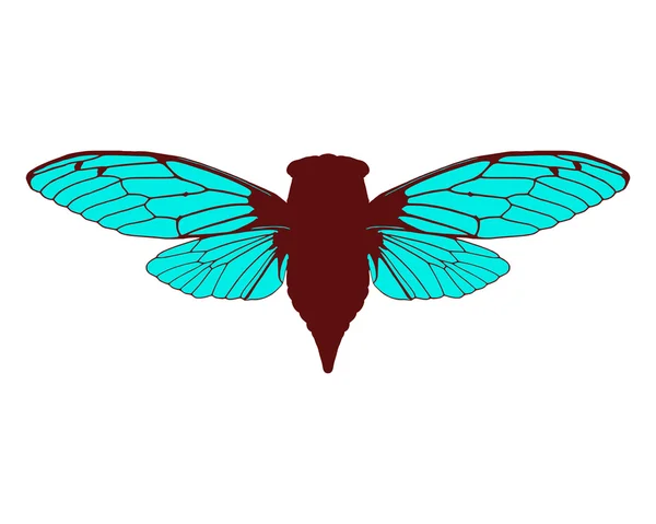 Belle cigale — Image vectorielle