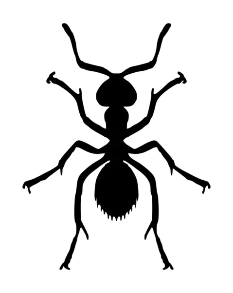 Beyaz karınca — Stok Vektör