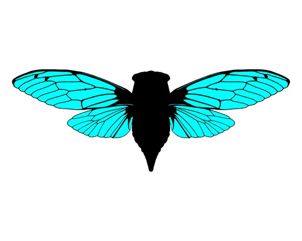 Beautiful cicada — Stock Vector
