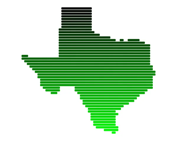 Karte von Texas — Stockvektor