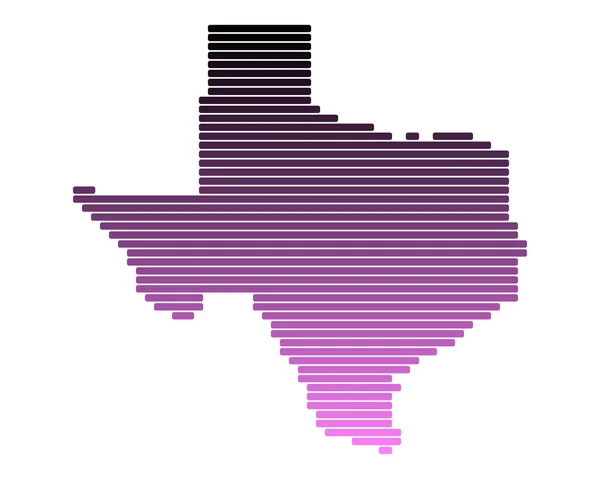 Kaart van texas — Stockvector