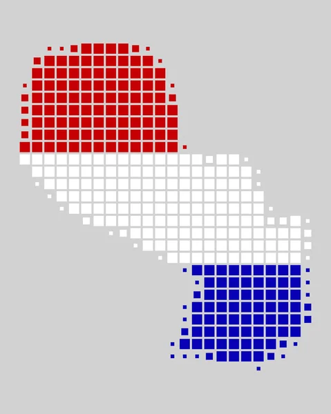 Mapa y bandera de Paraguay — Vector de stock