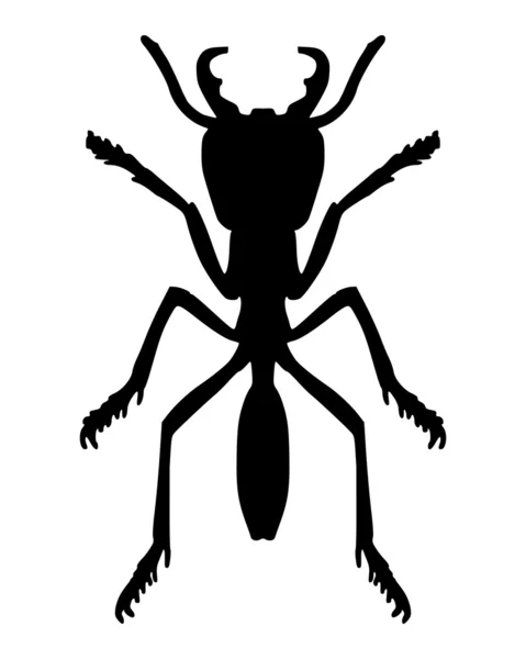 stock vector Ant on white
