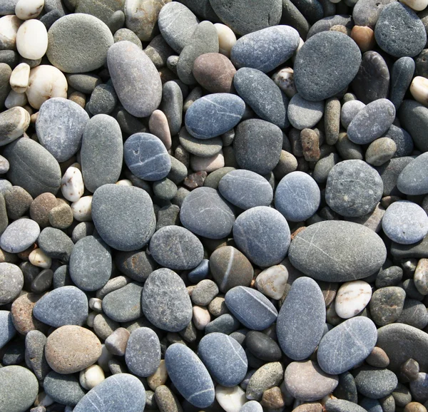 Graue Kieselsteine am Strand als Hintergrund — Stockfoto