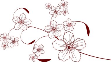 kiraz çiçeği tasarımı