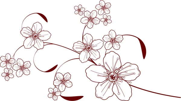 Diseño de flor de cerezo — Vector de stock