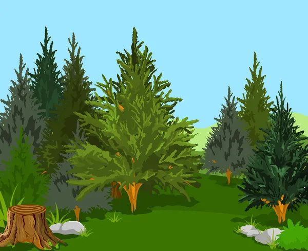 Lesní krajina — Stockový vektor