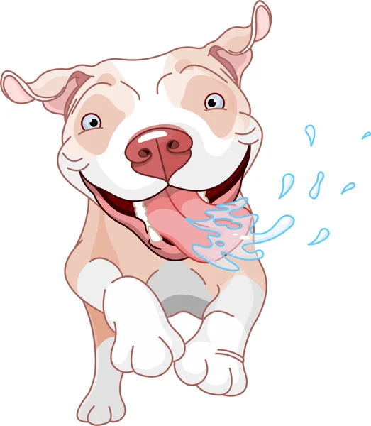 Aufgeregter Pitbull-Hund — Stockvektor
