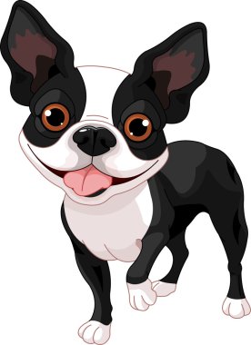 Boston Terrier clipart