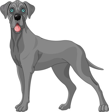 Great Dane dog clipart