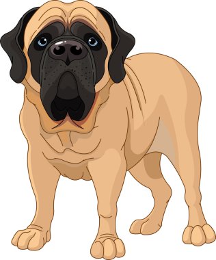 English Mastiff clipart