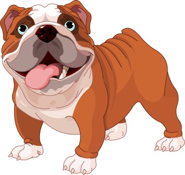 English bulldog clipart