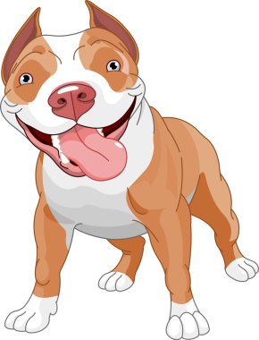 Pitbull dog clipart