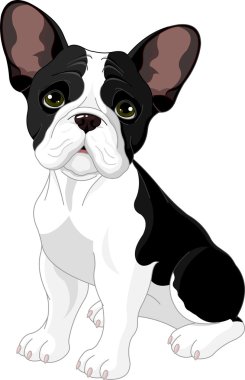 French bulldog clipart