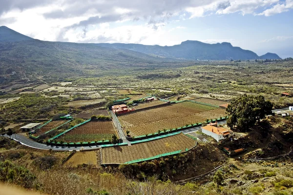 Landwirtschaftliche Plantagen inmitten der Berge — Stockfoto