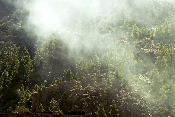 stock image Fog above mountain peaks