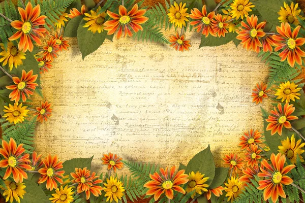 Herbarium of flowers and leaves on the floral background with fr — Stock Photo, Image