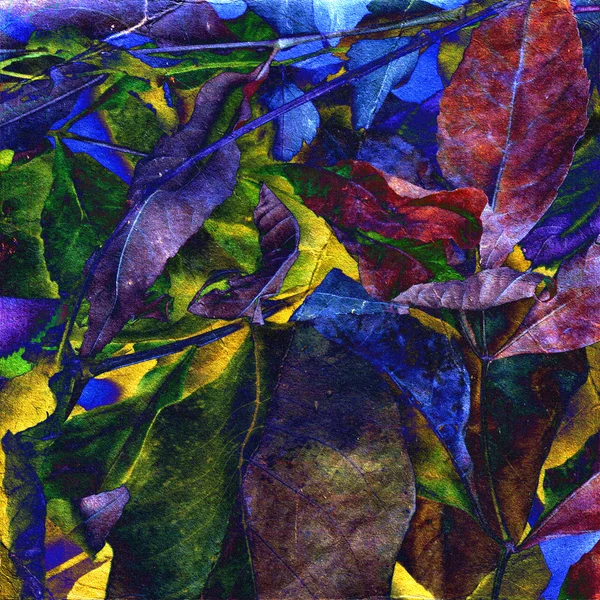 Alter Grunge-Hintergrund mit abstrakten floralen Ornamenten — Stockfoto