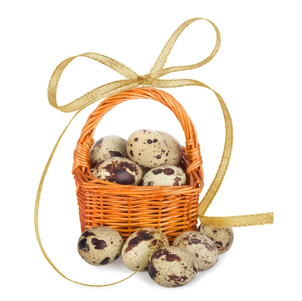 stock image Quail eggs in basket with bow on the white background isolated