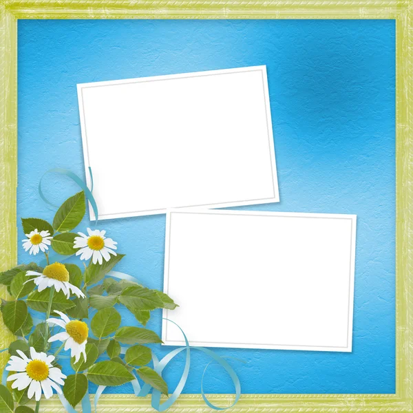 Grunge frames met prachtige daisy voor ontwerp — Stockfoto